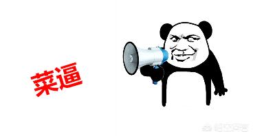 如果英雄联盟开启队友语音系统,会变的更有趣吗？