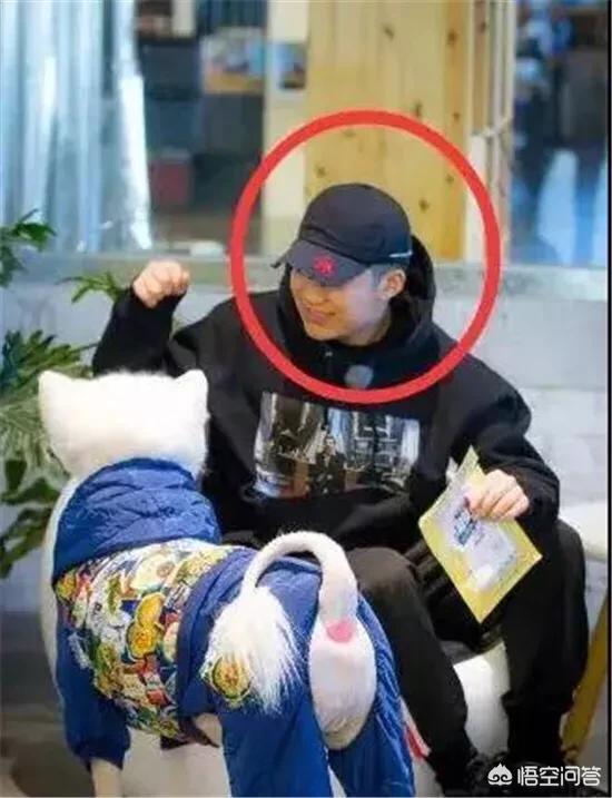 马苏事件到底咋回事:李小璐事件里，马苏做错了什么