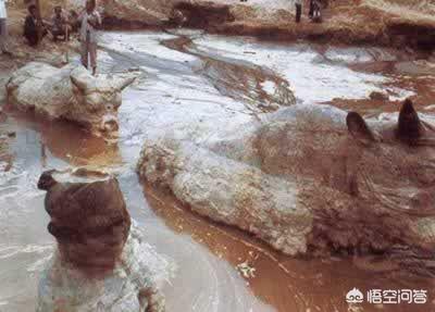 黄河巨龟之谜，古时黄河上拉铁索桥的为什么是黄河大铁牛，而不是其它动物