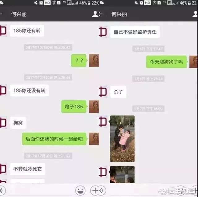 摔狗事件后续:“爱狗人士”参与的几个热点事件为何会产生那么大的影响？