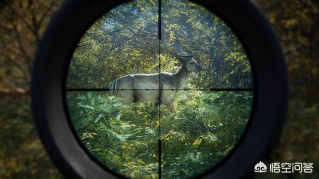 你最喜欢steam里的哪个游戏？
