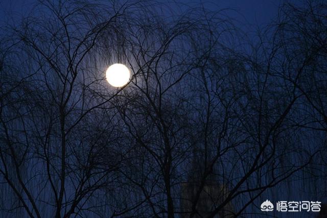 "月上柳梢头，人约黄昏后"描写的是哪个传统节日？:什么头什么节 第1张