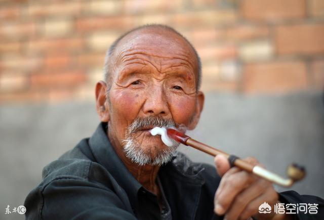 雪儿母狗寻主:下楼给儿子送饺子，到儿子家才发现饺子没了，饺子哪去了？