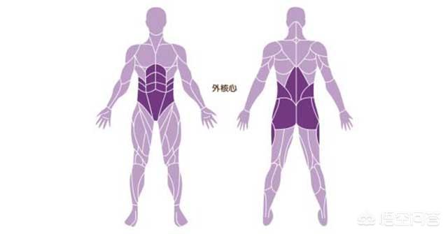 什么是核心肌群 如何锻炼核心肌群 头条问答