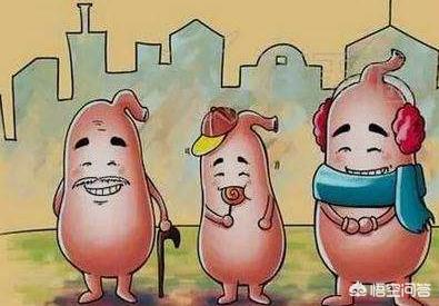 胃强脾弱可以吃什么水果？