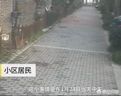 男子摔狗事件:宁波因狗吠杀死3人的男子，如果杀死的是狗，后果会如何？