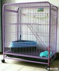 笼养猫的好处:养猫的好处和坏处 如何让一只猫心甘情愿的呆在笼子里？