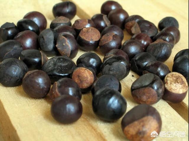 乐那多:人要是被科摩多巨蜥咬了，会有什么后果？
