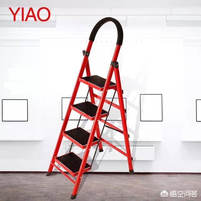 笼养猫的好处:养猫的十个好处 大家的猫都是散养还是关笼子里养？