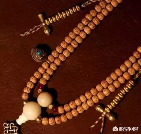 张佩华zangao:米卢为何要抛弃老将张恩华，他们到底有何恩怨？