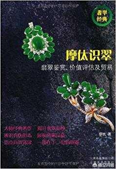 翡翠的专业知识书籍,有没有鉴别翡翠的书可推荐？
