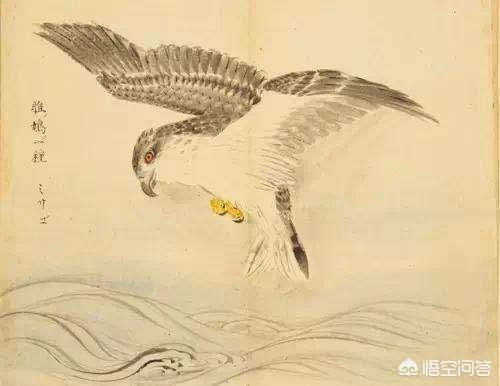 《关雎》这首诗里的雎鸠指的是什么？