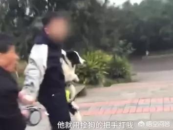 重庆渝北一老人被狗咬死:如何看待重庆一男子遛狗没拴绳，爷爷为保护孙子被打？