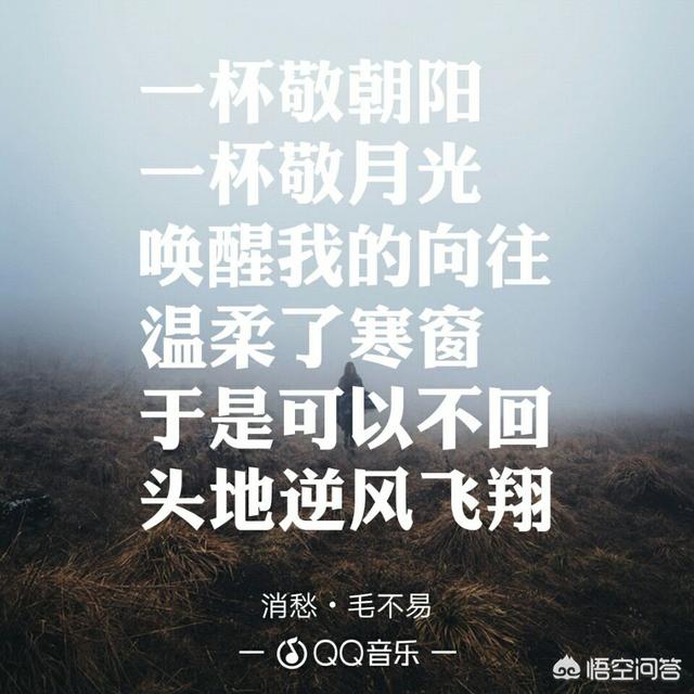 悟空问答 有首歌歌词有句一杯敬月光是什么 Nuikl的回答 0赞