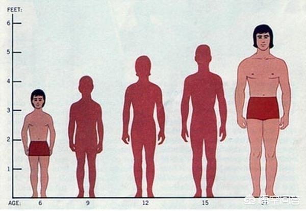 零零后纪录片:为什么现在00后的个子都很高？