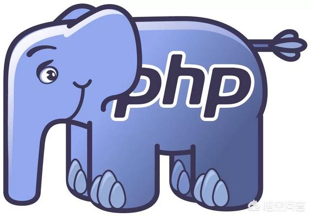 5个月自学掌握PHP，并独立制作了多个PHP网站，算作有程序员天赋吗？