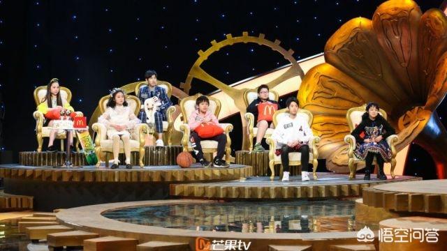 撒贝宁主持的节目:你觉得撒贝宁走到今天，他的成功原因是什么？