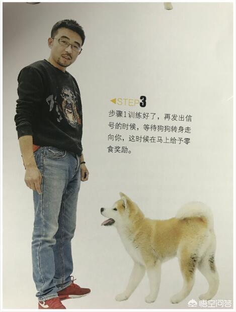 朵拉训练狗狗在线小游戏:如何训练狗狗在遛狗时就在你身边，不往前冲，也不扑人和到处闻？ 朵拉救狗狗小游戏试玩