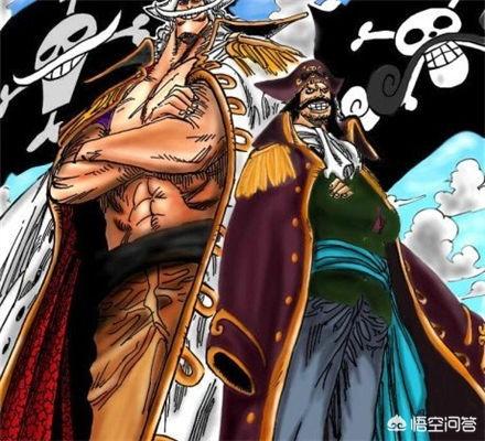 熊猫海贼王599:海贼王里，消失的100年到底有什么秘密？ 熊猫海贼王论坛