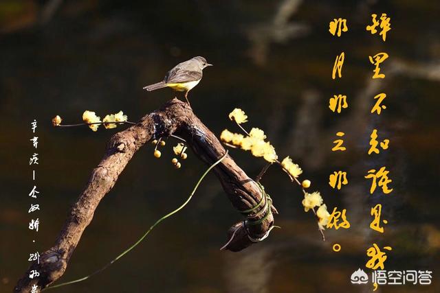 微信<a href=https://maguai.com/list/256-0-0.html target=_blank class=infotextkey>朋友圈</a>尖叫字体怎么弄，微信尖叫字体生成器