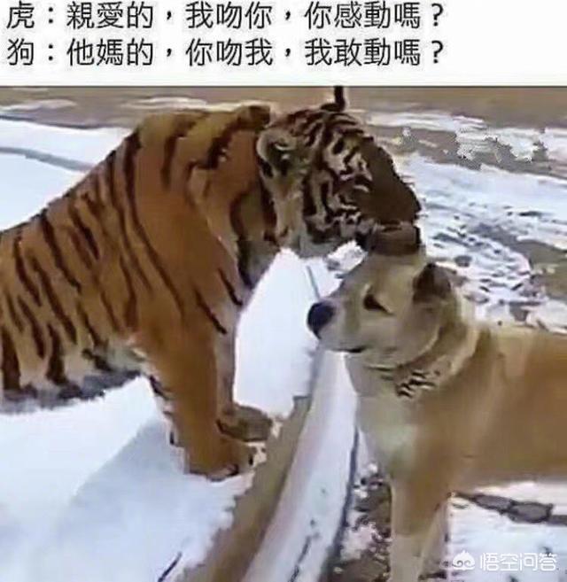 侠客行剧情介绍:你们觉得《侠客行》的结局怎么样呢？