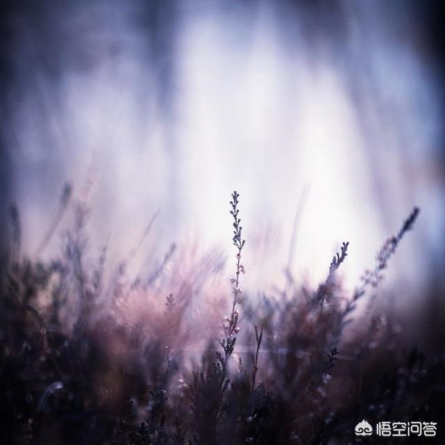 好用的修图软件,有哪些好用的摄影后期软件？