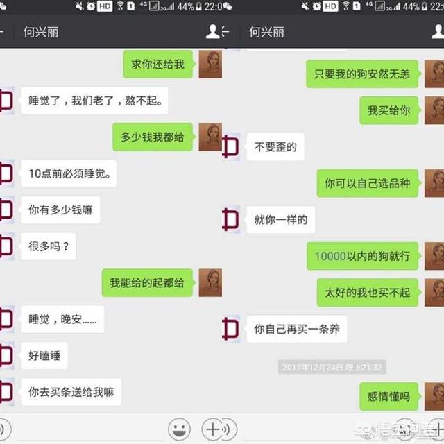 教师卖房养流浪狗感动网友:两年前出于人道主义收留了一只小土狗，现在不想养了怎么办？