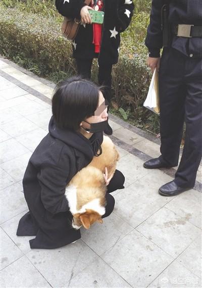 无脖牧羊犬遭弃 腾讯:“北京30套房小哥：人一闲就废了”，如果你有十套房还工作吗？