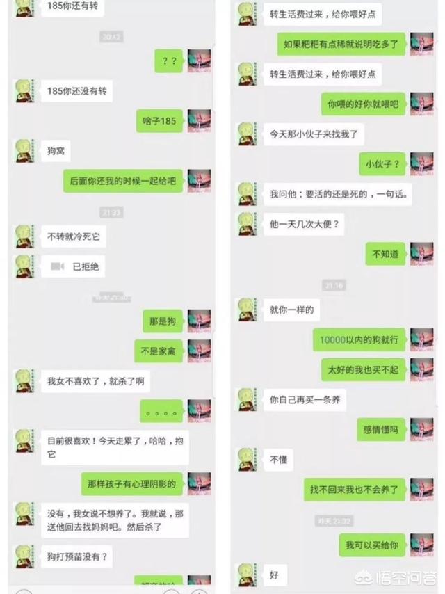 教师卖房养流浪狗感动网友:如何看待据传四川师老师摔死捡到的狗一事？