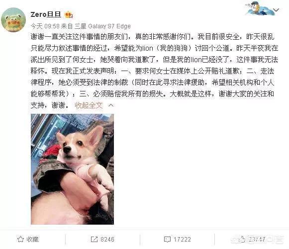 摔狗:路上开车撞到狗了，怎么办？