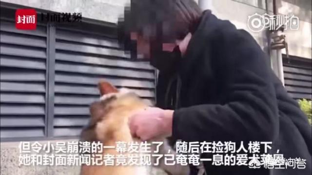 成都何兴丽最新报料:如何看待何兴丽虐狗事件？