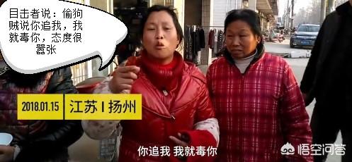 偷狗贼被村民虐打致死:主人抓车窗阻止偷狗贼，被拖行救治无效死亡，应该怎么判？