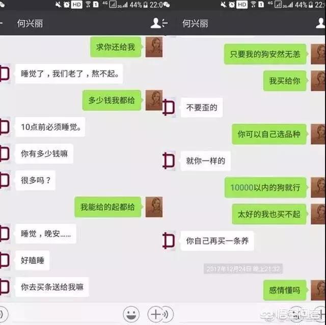 何兴丽是老师吗:勒索不成摔死狗的何兴丽，是道德问题还是法律问题？