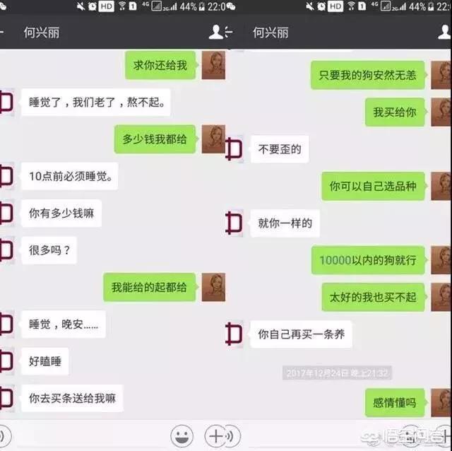 成都何兴丽:如何看待成都捡狗摔狗女子在派出所大哭道歉一事？