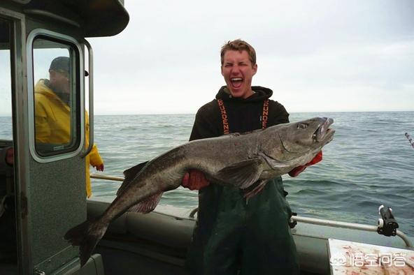 头条问答 银鳕鱼重金属含量高不适合给孕妇和儿童吃吗 14个回答