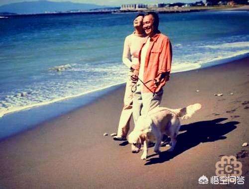 李胜基海南事件:海南三亚大妈挑平价菜撕菜叶被禁买，打超市经理，你怎么看这件事