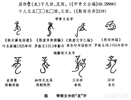 头条问答 甲骨文和后来的汉字有关系吗 建林君的回答 0赞