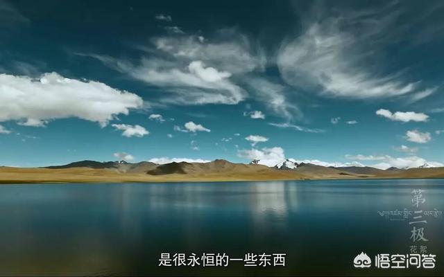 马宁宁:哪些纪录片可称「神作」？