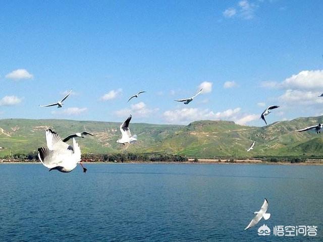 以色列旅游必去的地方有哪些？
