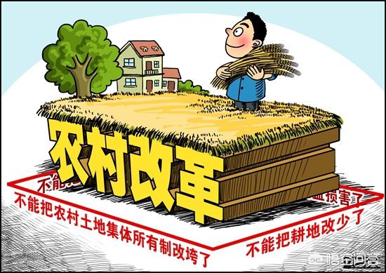 农民如何靠“一亩三分地”养活自己？