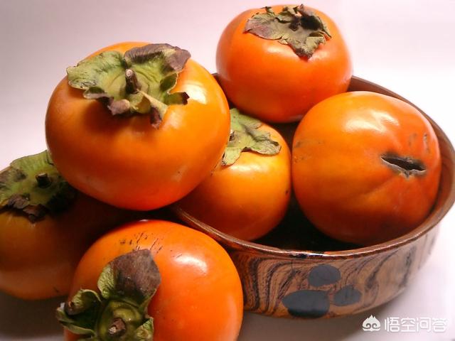 柿子蒂儿是上好的中药材？