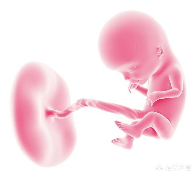 胎儿能听到子宫外的声音吗，胎儿睡觉的时候是浮着的吗