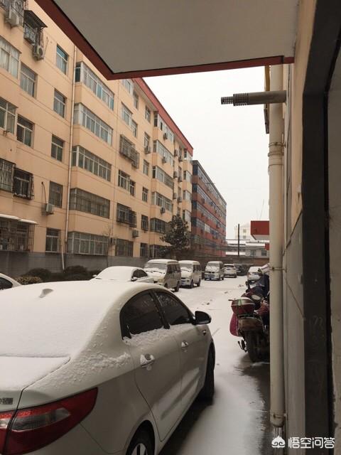 如果人有无痛让自己死亡的能力,那么你现在还会活着吗？
