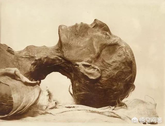 古埃及文明:有人说古埃及文明早于华夏文明，是根据什么来证明的呢？