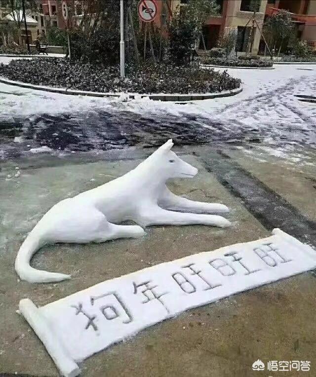 大家都有什么爱好丰富多彩的生活？