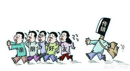 传销组织是干什么的？