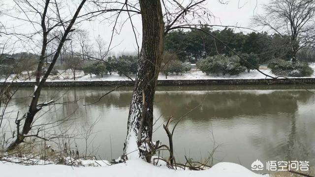 能否说出一到两句描写雪的古诗词？