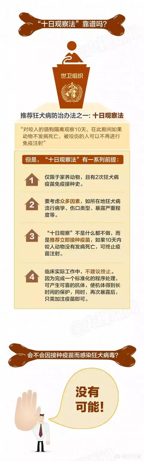 狂犬病潜伏期多久:狂犬病最长潜伏时间是多少？