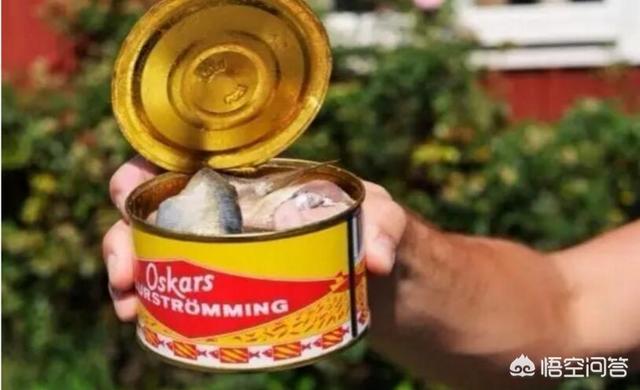 鲱鱼罐头和屎哪个臭鲱鱼罐头到底有多臭