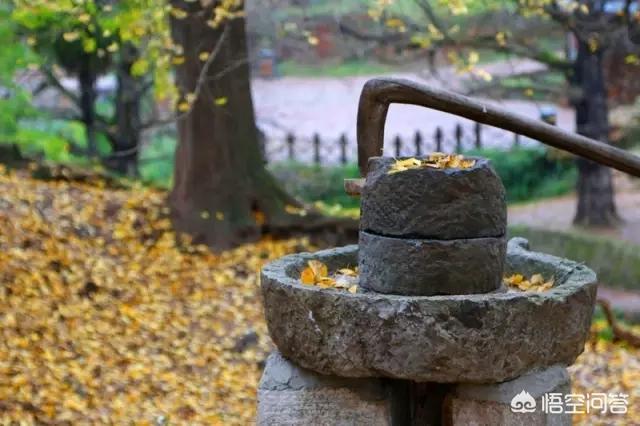 娘娘山海拔,贵州盘州市哪个景区最好玩？